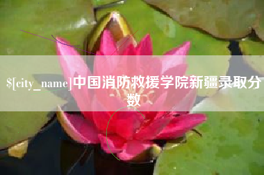 黑河中国消防救援学院新疆录取分数