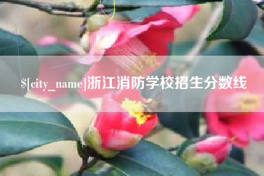 黑河浙江消防学校招生分数线