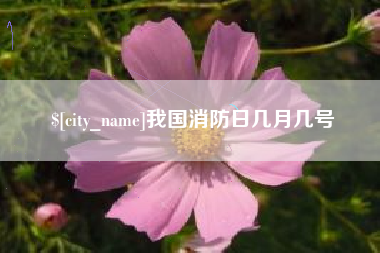 黑河我国消防日几月几号