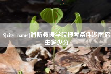 黑河消防救援学院报考条件湖南招生多少分