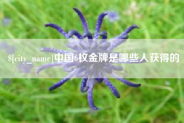 黑河中国6枚金牌是哪些人获得的