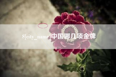 黑河中国哪几项金牌