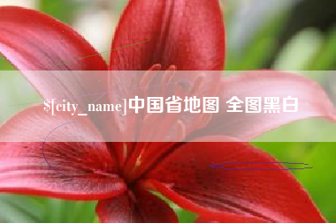 黑河中国省地图 全图黑白