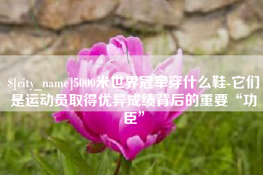 黑河5000米世界冠军穿什么鞋-它们是运动员取得优异成绩背后的重要“功臣”