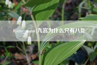 黑河九宫为什么只有八卦