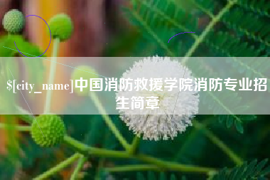 黑河中国消防救援学院消防专业招生简章