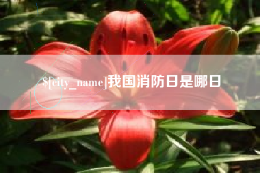 黑河我国消防日是哪日