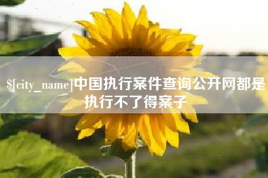 黑河中国执行案件查询公开网都是执行不了得案子