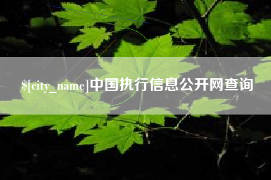 黑河中国执行信息公开网查询