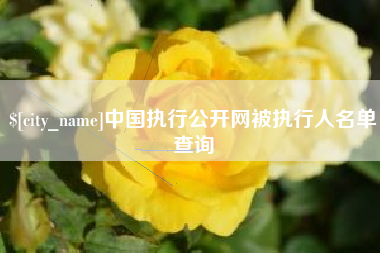 黑河中国执行公开网被执行人名单查询
