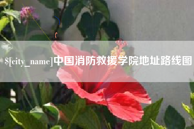 黑河中国消防救援学院地址路线图