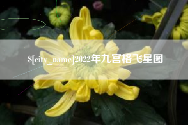 黑河2022年九宫格飞星图