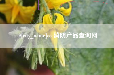 黑河ccc消防产品查询网