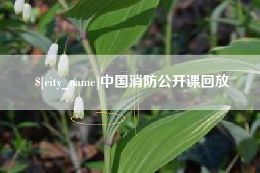 黑河中国消防公开课回放