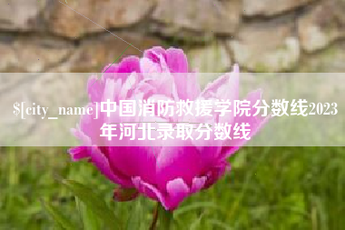 黑河中国消防救援学院分数线2023年河北录取分数线