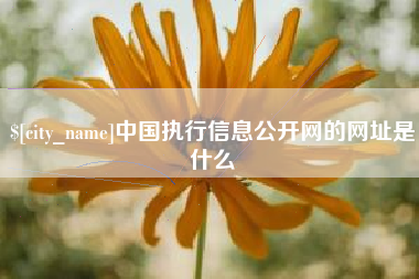 黑河中国执行信息公开网的网址是什么