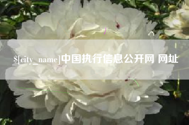 黑河中国执行信息公开网 网址