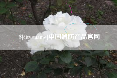 黑河中国消防产品官网