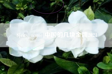黑河中国的几块金牌2021