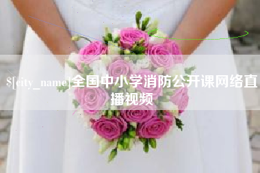 黑河全国中小学消防公开课网络直播视频