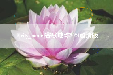 黑河谷歌地球2024超清版
