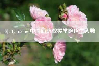 黑河中国消防救援学院招生人数