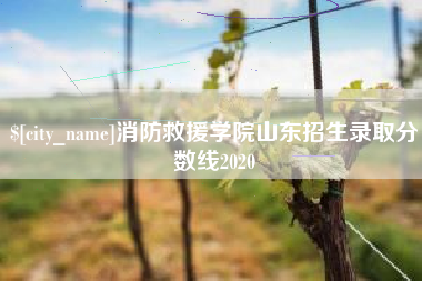 黑河消防救援学院山东招生录取分数线2020