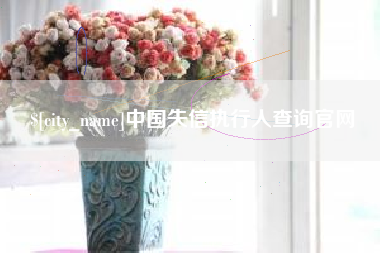黑河中国失信执行人查询官网