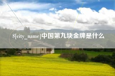 黑河中国第九块金牌是什么