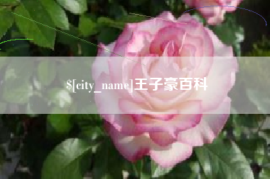 黑河王子豪百科