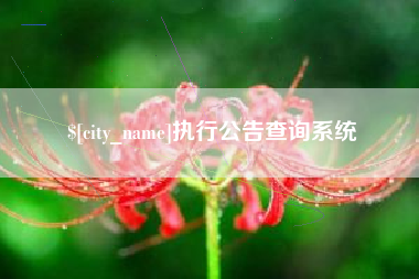 黑河执行公告查询系统