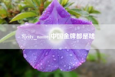 黑河中国金牌都是啥