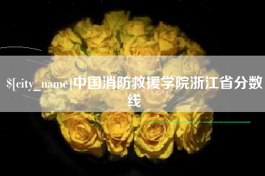 黑河中国消防救援学院浙江省分数线