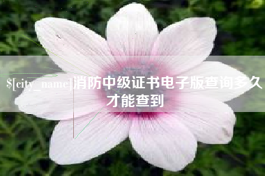黑河消防中级证书电子版查询多久才能查到