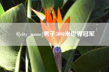 黑河男子5000米世界冠军