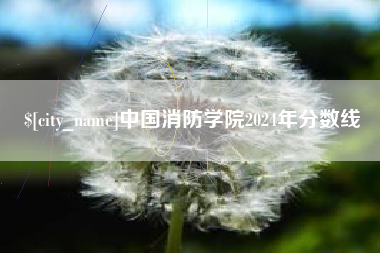 黑河中国消防学院2024年分数线