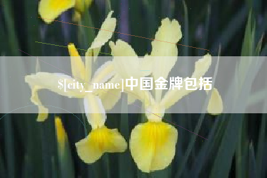 黑河中国金牌包括