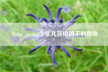 黑河今年九宫格的不利颜色