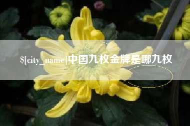 黑河中国九枚金牌是哪九枚