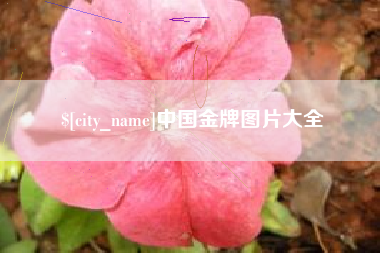 黑河中国金牌图片大全