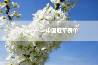 黑河中国冠军榜单