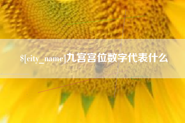 黑河九宫宫位数字代表什么