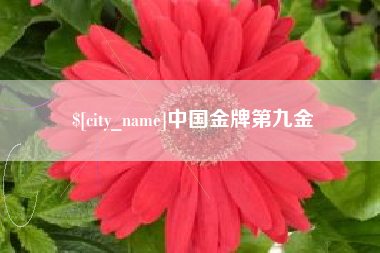 黑河中国金牌第九金
