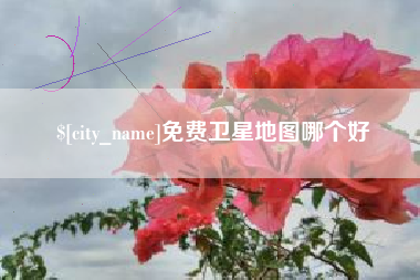 黑河免费卫星地图哪个好