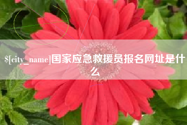 黑河国家应急救援员报名网址是什么