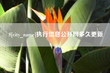 黑河执行信息公开网多久更新
