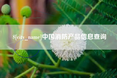 黑河中国消防产品信息查询