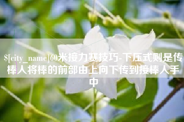 黑河60米接力赛技巧-下压式则是传棒人将棒的前部由上向下传到接棒人手中