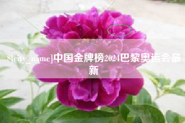 黑河中国金牌榜2024巴黎奥运会最新
