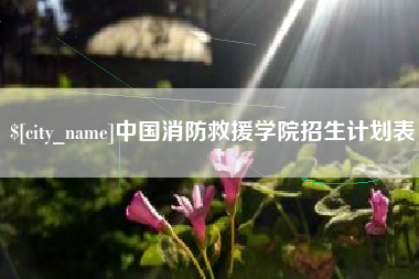 黑河中国消防救援学院招生计划表